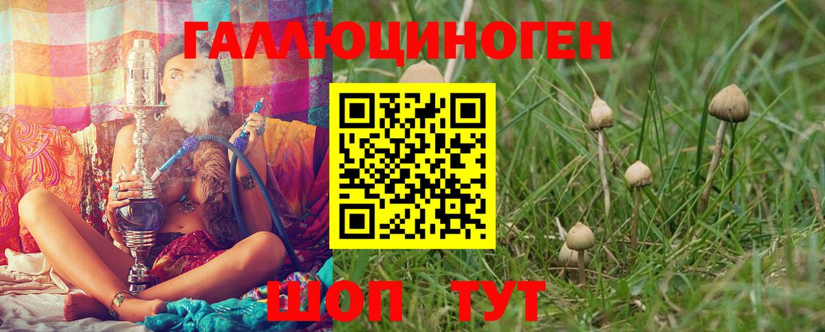 Псилоцибиновые грибы Psilocybine cubensis Бузулук