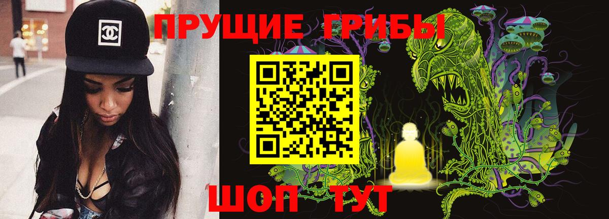 Бузулук  Галлюциногенные грибы Magic Shrooms  Вход с VPN  Псилоцибиновые грибы Psilocybine cubensis 